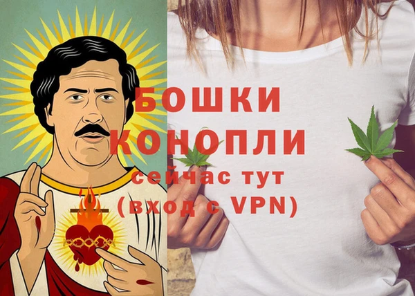 тгк Магас
