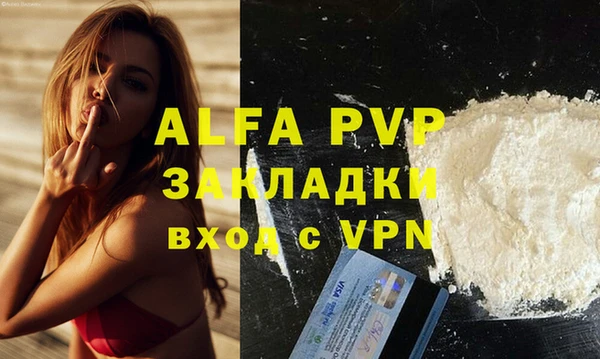 тгк Магас