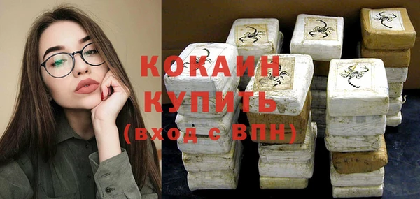 тгк Магас