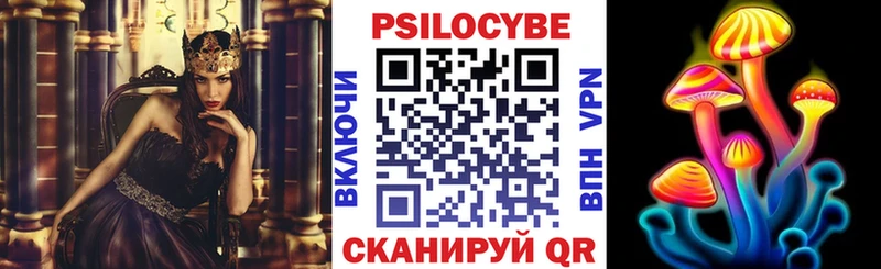Псилоцибиновые грибы Psilocybe  Устюжна 